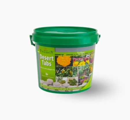 Eco Lab Desert Energy Desert Tabs( 10gm * 100 nos) 1 kg