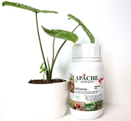 Apache 1.8? “Acaricide & Insecticide”