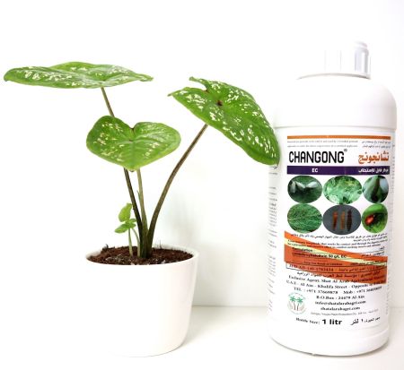Changong EC “Insecticide” 1Ltr