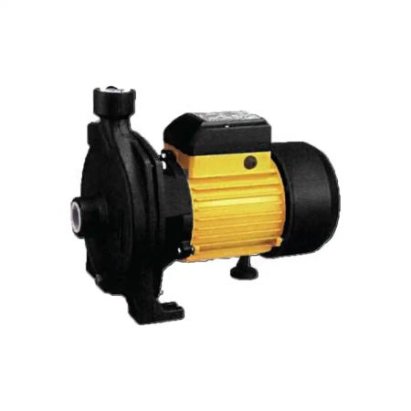 CPM158-2 1HP Centrifugal Water Pump