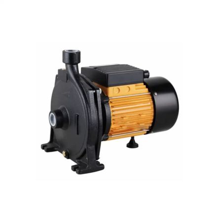 CPM158 1HP Water Pump