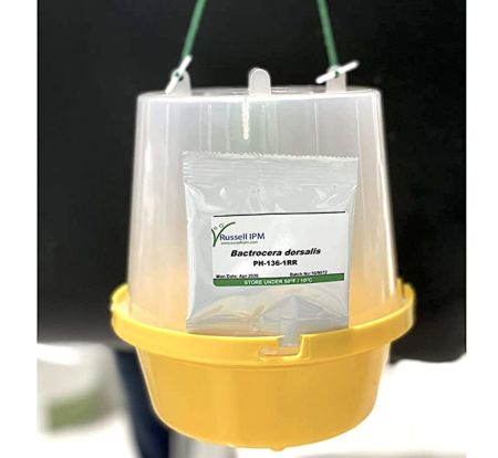 Fruit Fly Trap with Pheromone “Russell-IPM”