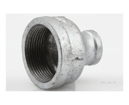 GI Pipe Fittings Reducer Socket BIS Thailand