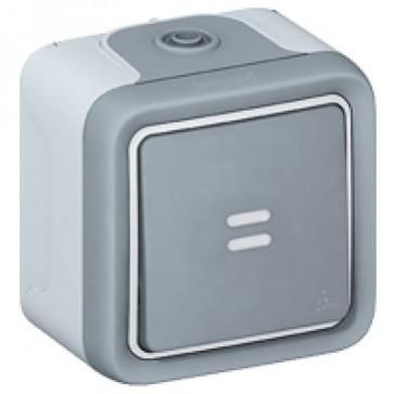 Legrand 10A Weatherproof Switch With Neon 1Gang 2Way Plexo IP55 69712