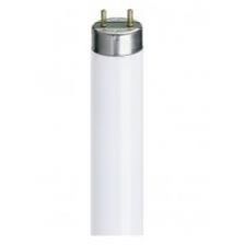 Philips T8 Tube 18Watt 2Feet