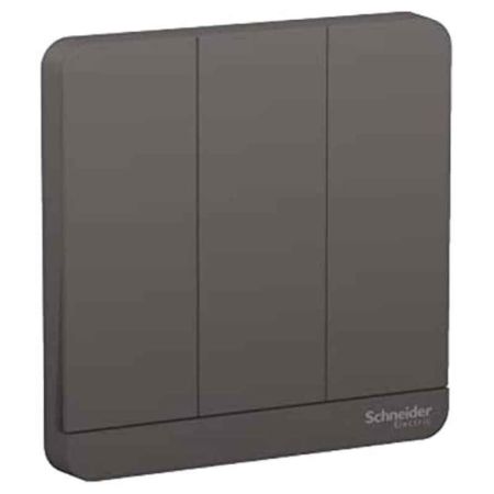 Schneider Avataron 16AX250V 3G-2W Switch - E8333L2-DG